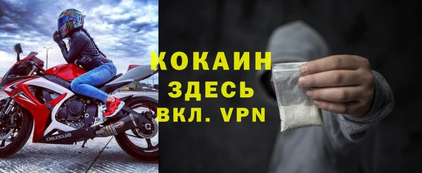 гашик Богданович