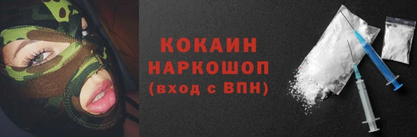 mdpv Бородино