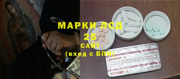 mdpv Бородино