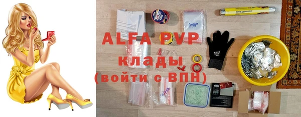 гашик Богданович